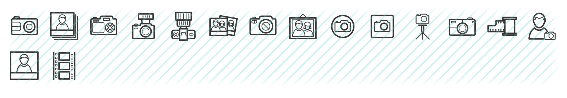 photo boldicons icons