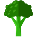 brocoli flat icon