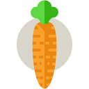 carrot flat icon