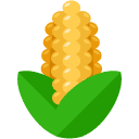 corn flat icon