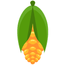 Corn Flat Icon