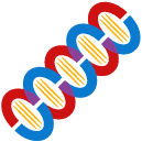 dna flat icon