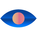 eye flat icon