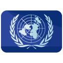 International Flag Flat Icon