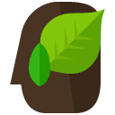 leaves flat icon