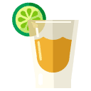tequila flat icon