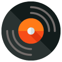 Vinyl Flat Icon