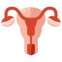reproductive system flat icon