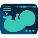 ultrasound picture flat icon