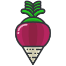 Beetroot Filled Outline Icon