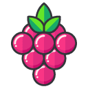 Berries Filled Outline Icon