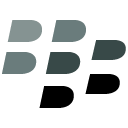 Blackberry Flat Icon