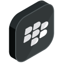 Blackberry Isometric Icon
