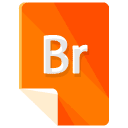 Br Flat Icon