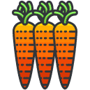 Carrots Filled Outline Icon