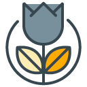 Dutch Tulip filled outline Icon
