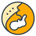 Fetus filled outline Icon