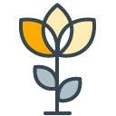 Flower filled outline Icon