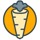 Healthy Food filled outline Icon