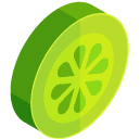 Lime Slice Isometric Icon
