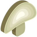 Mushroom Slice Isometric Icon