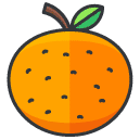 Orange Filled Outline Icon