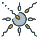 Sperm filled outline Icon