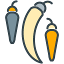 Spicy filled outline Icon