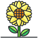 Sunflower Filled Outline Icon