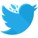 Twitter Flat Icon