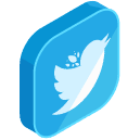 Twitter Isometric Icon