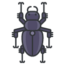 beetle Filled Outline Icon