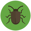 bug Flat Round Icon
