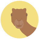 camel Flat Round Icon
