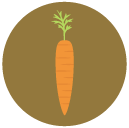 carrot Flat Round Icon
