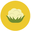 cauliflower Flat Round Icon