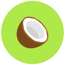 coconut Flat Round Icon