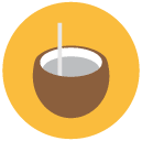 coconut milk Flat Round Icon