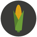 corn Flat Round Icon