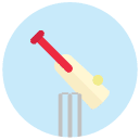 cricket flat Icon