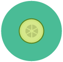 cucumber slice Flat Round Icon