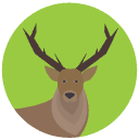 deer Flat Round Icon
