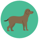 dog Flat Round Icon