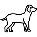 dog line Icon