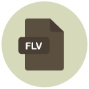flv Flat Round Icon