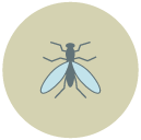 fly Flat Round Icon