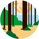 forest flat Icon