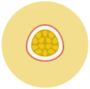 fruit Flat Round Icon