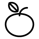 fruit line Icon