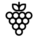 grapes line Icon